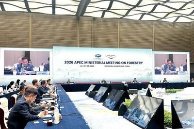 Việt Nam đề xuất 4 ưu tiên hợp tác về lâm nghiệp tại Hội nghị Bộ trưởng APEC