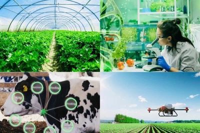 Rà soát, hoàn thiện các cơ chế, chính sách nhằm hỗ trợ phát triển nông nghiệp