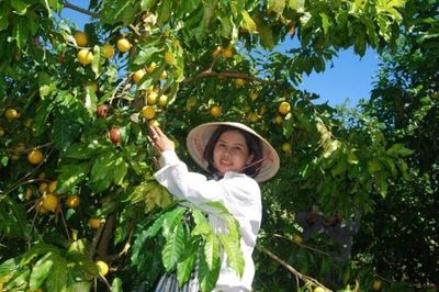 Hoàn thiện cơ chế, chính sách khuyến khích doanh nghiệp đầu tư vào nông nghiệp, nông thôn