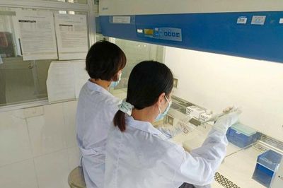 Quảng Ninh: Trạm Chẩn đoán xét nghiệm dịch bệnh và Công nghệ sinh học khẳng định năng lực chuyên môn