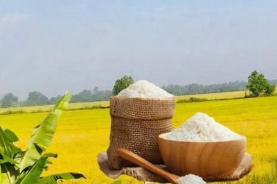 Giá lúa gạo hôm nay 29/7: Thị trường trong nước ổn định, gạo xuất khẩu tăng