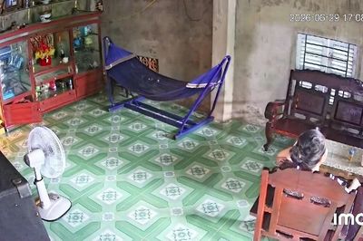 Clip bà ngồi thẫn thờ khi 'khối nghỉ hè' rời quê về phố khiến dân mạng rưng rưng