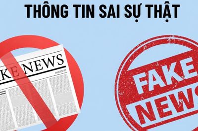Hải Phòng: Bình luận sai sự thật, người đàn ông xã Khúc Thừa Dụ bị phạt 12,5 triệu đồng