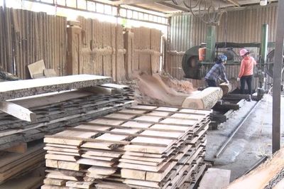 Phạt đến 20 triệu đồng nếu không cho lao động nữ nuôi con nhỏ nghỉ 60 phút mỗi ngày