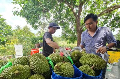 Ngành rau quả: Hiện thực hóa mục tiêu xuất khẩu 10 tỷ USD