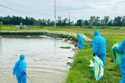 Nghệ An: Khẩn trương khoanh vùng, dập dịch cúm gia cầm