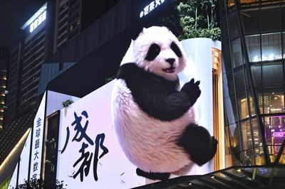 Thành Đô làm gì để gấu trúc trở thành 'mỏ vàng' du lịch?