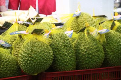 Hàn Quốc bất ngờ tăng nhập khẩu sầu riêng Việt Nam