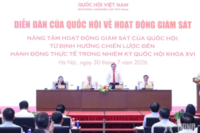 Giám sát để kiến tạo phát triển