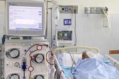 Cứu sống cụ ông 98 tuổi bị ong vò vẽ đốt gần 80 nốt