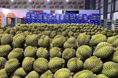 Ấn Độ mở cửa thị trường cho sầu riêng tươi Việt Nam
