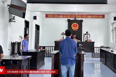 Tài xế gây tai nạn khiến người phụ nữ thương tật 74%