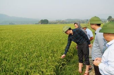 Chủ tịch tỉnh Thanh Hóa yêu cầu cán bộ giảm họp, tăng cường đi cơ sở