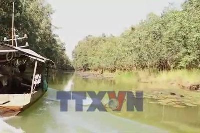 Trải nghiệm Tràm Chim - Chạm vào nhịp sống vùng đất ngập nước