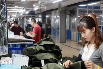 EVFTA 'tiếp sức' cho hàng hóa Việt Nam mở rộng sang thị trường EU