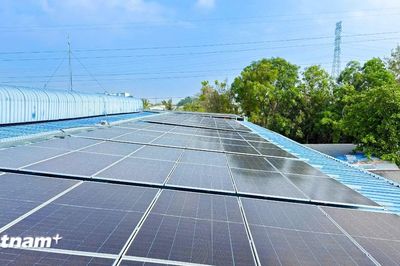 Mavin đưa vào vận hành hệ thống điện mặt trời tại nhà máy ở Đồng Tháp