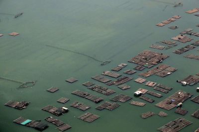 TP Hồ Chí Minh: Tăng cường kiểm tra toàn diện hoạt động nhà hàng nổi tại Làng bè Gò Găng