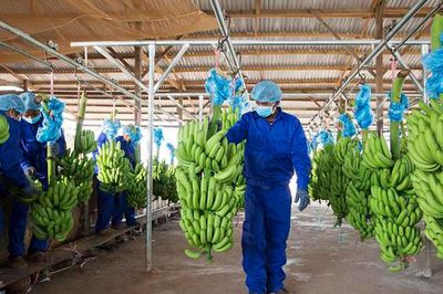 Hoàng Anh Gia Lai báo lãi nghìn tỷ sau cú đảo chiều hoạt động tài chính