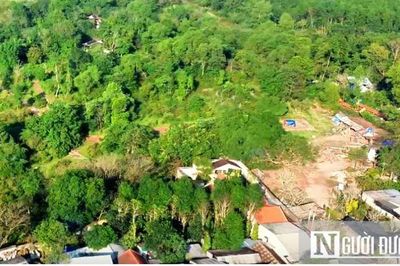 Từ ngày 31/8, tự ý chuyển đất trồng lúa sang đất ở bị phạt nặng