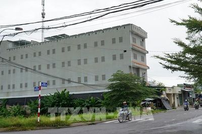 An Giang quy định 'vùng đỏ' tuyệt đối cấm nuôi chim yến