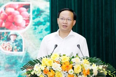 Bắc Ninh: Thúc đẩy chuyển đổi sản xuất, tiêu thụ vải thiều từ phát triển theo sản lượng sang chất lượng và giá trị