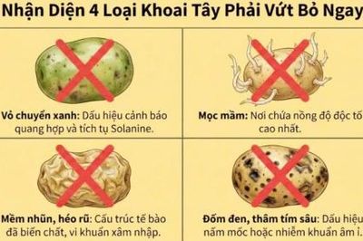 Tại sao ăn khoai tây mọc mầm lại nguy hiểm?