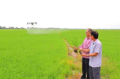 Từ cánh đồng truyền thống đến nền nông nghiệp số