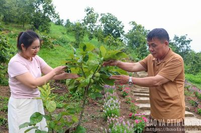 Từ vườn hồng đến điểm du lịch