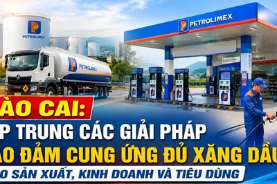 UBND tỉnh Lào Cai yêu cầu tập trung các giải pháp bảo đảm cung ứng đủ xăng dầu cho sản xuất, kinh doanh và tiêu dùng