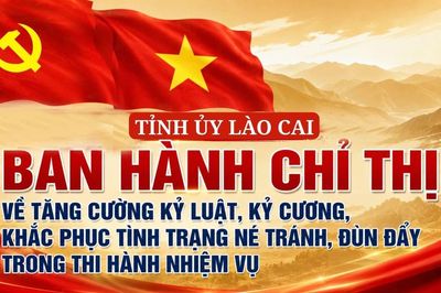 Tỉnh ủy Lào Cai ban hành Chỉ thị về tăng cường kỷ luật, kỷ cương, khắc phục tình trạng né tránh, đùn đẩy trong thi hành nhiệm vụ