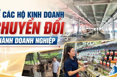 Để các hộ kinh doanh chuyển đổi thành doanh nghiệp