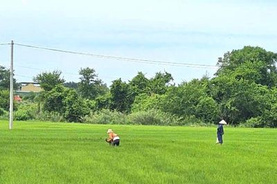 Hàm Thắng hướng đến nông nghiệp hàng hóa