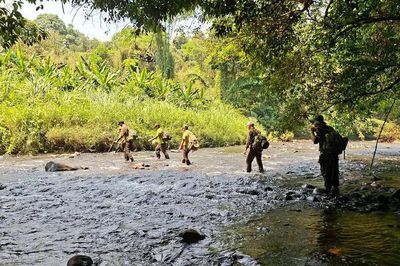 Lâm Đồng quyết tâm giữ rừng, không để phát sinh 'điểm nóng'