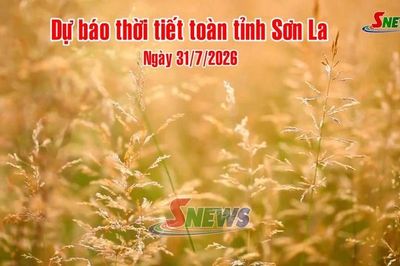 Dự báo thời tiết toàn tỉnh Sơn La ngày 31/7/2026
