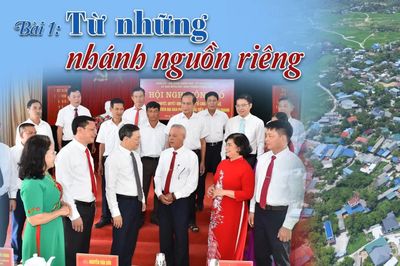 Bài 1: Từ những nhánh nguồn riêng