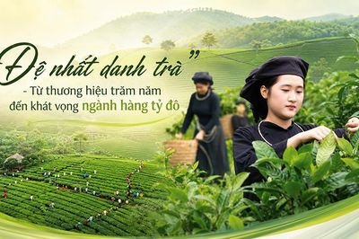 'Đệ nhất danh trà' - Từ thương hiệu trăm năm đến khát vọng ngành hàng tỷ đô (Bài 2)
