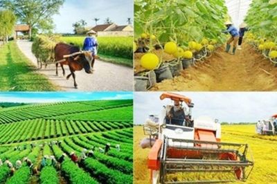 Sửa đổi, bổ sung, bãi bỏ nhiều thủ tục hành chính về thành lập và hoạt động của tổ hợp tác, hợp tác xã, liên hiệp hợp tác xã