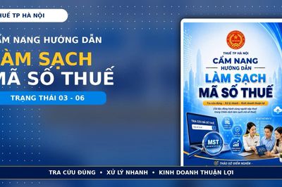 Thuế thành phố Hà Nội: Người nộp thuế tự rà soát mã số thuế