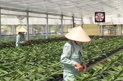 Hà Nội thúc đẩy chuyển đổi xanh, nông nghiệp đa giá trị