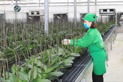 Tư duy xanh và không gian phát triển mới của nông nghiệp Thủ đô