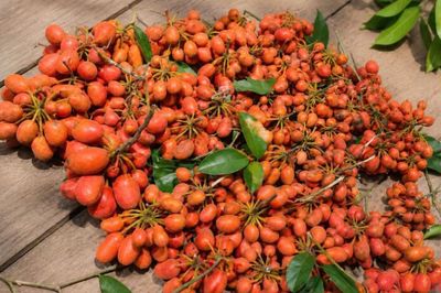 Mác nồm mò - hương vị tuổi thơ còn mãi