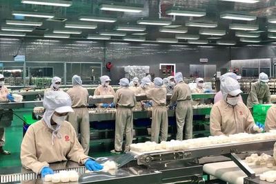 TP.HCM có gần 297.000 doanh nghiệp, quy mô vốn đạt 17.420 nghìn tỷ đồng