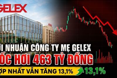 Lợi nhuận công ty mẹ GELEX bốc hơi 463 tỷ đồng, hợp nhất vẫn tăng 13,1%