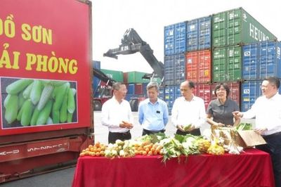 'Điểm tựa' vững chắc giúp hội viên vượt qua nỗi lo 'được mùa rớt giá'