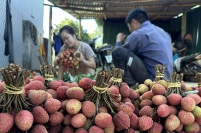 Xã Đắk Đoa triển khai đề cử tôn vinh điển hình tiên tiến vì sự phát triển nông nghiệp hữu cơ Việt Nam
