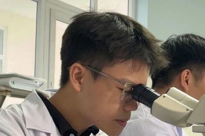 Nam sinh viên y khoa cứu du khách đuối nước