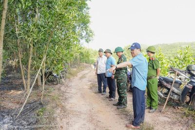 Huế xử lý nhiều vụ vi phạm quy định về phòng cháy, chữa cháy rừng
