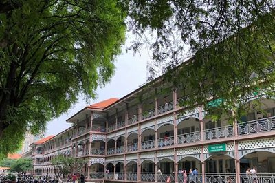 Bệnh viện có gần 100 cây me cổ thụ đẹp nhất Việt Nam sẽ được tu bổ như thế nào?