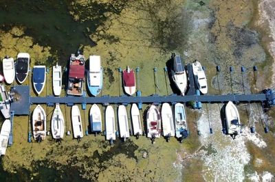 Sông Danube cạn trơ đáy vì hạn hán lịch sử ở châu Âu