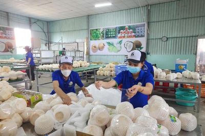 Tháo gỡ điểm nghẽn, tăng tốc xuất khẩu nông sản cuối năm